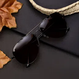 Garry Gobbs Unisex Brown Lens & Brown Aviator Sunglasses with-image-30