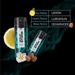 Wild Stone Men Pack of 3 Deodorant - 150 ml Each image 4