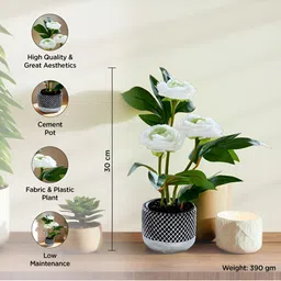 UMAI White & Green Artificial Flower With Pot image 2