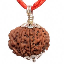 Divine souvenirs Rudraksh Pendants-picture-0