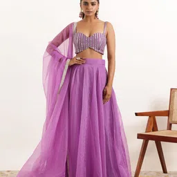 DEASHA INDIA Ready to Wear Lehenga & Embroidered Mirror Work Blouse With Dupatta-picture-32