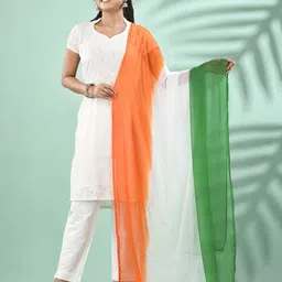 DESH BIDESH Ombre Printed Tie and Dye Dupatta-35