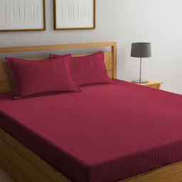 Aura Red Striped 300 TC King Bedsheet Set 2.7 m x 2.6 m-image-41