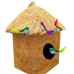 4 birds with compact classic hut -STRONG Bird House-picture-25