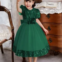 DP FABRICS Net Dress-picture-41