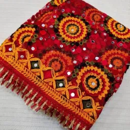 Net Embroidered Multicolor Women Dupatta-image-69