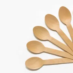 Disposable Wooden Dessert Spoon Set-image-14