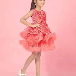 Aarika Net A-Line Dress image 4