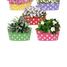 Go Hooked Set of 5 Metal Railing Planter-15