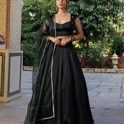 Ragavi Embroidered Ready to Wear Lehenga & Blouse With Dupatta-picture-30