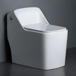 Ceramic Rimless Western Toilet/Water Closet/Commode With Seat - S Trap Outlet (APS-3011) Western Commode-17