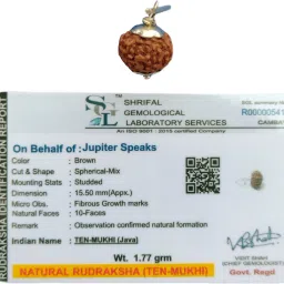 Lab Certified 10 Mukhi Rudraksha Pendant , 100% Original Size 14-17 mm Color Brown Indonesia ( Java) Origin Ruthratacham German Silver for Men and Women Wood Pendant-image-35