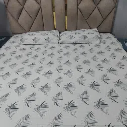280 TC Cotton King Text Print Flat Bedsheet-image-4