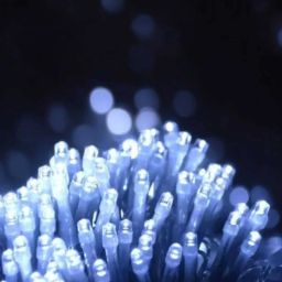40 LEDs 11 m White Steady String Rice Lights-image-79