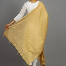 HANDICRAFT PALACE Striped Embroidered Dupatta with Sequinned image 4