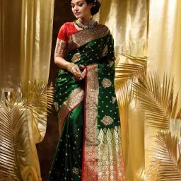Woven, Self Design Banarasi Silk Blend, Pure Silk Saree-picture-5