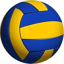 SportsLink002 Volleyball - Size: 3-picture-16