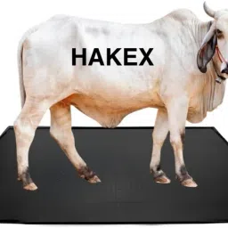 COW Mat Waterproof_Rubber Mat 8*5 Feet BPA Free For Horse, Cow, Dog, Hamster, Guinea Pig, Miniature Pig Pet Mat-image-62