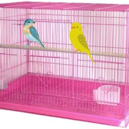 Large Pink Iron Bird Cage with Feeding Cup, 1 Pole with Secure Lock, 24 Inch Bird, Hamster, Rabbit Cage-image-22