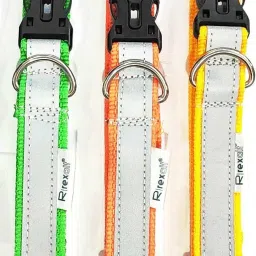 Dog & Cat Everyday Collar-image-8