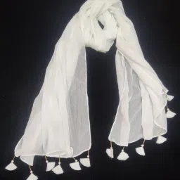 Self Design Chiffon Women White Stole-1