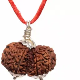 Shiv Parvati/Gori Shankar Rudraksha 100% Genuine Quality for Men & Women Wood-image-1