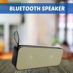 FRONY Raja (PORTABLE BLUETOOTH PARTY SPEAKER) Support USB/TF Card With High BassB20 20 W Bluetooth Laptop/Desktop Speaker-image-49