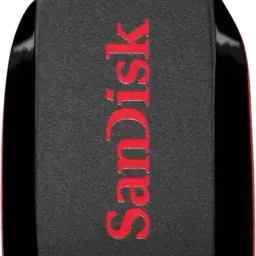 SanDisk Cruzer Blade USB 2.0 Pendrive 64 GB Pen Drive Compatible with Mobile, Laptop, Desktop Computer, Audio Player USB 2.0 Plastic Case image 2