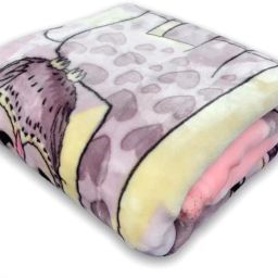 Printed Crib Mink Blanket for Mild Winter-image-23