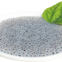 Tukmalanga, sabja, Balanga, Tukhmalanga Seed-picture-14