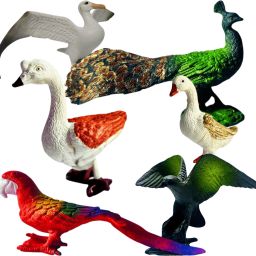 Big Size Birds Toys for Kids – Realistic Colorful Bird Figures for Learning Play-3