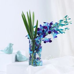 Radiant Orchids With Chocolates Combo image 4