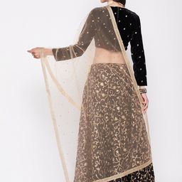 Clora Creation Embroidered Dupatta With Sequinned image 2