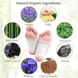 Natural Cleansing Organic Weight Loss Foot PatchesMen/Women(2 Pkt-20 Pads) M31 Nursing Breast Pad-image-91