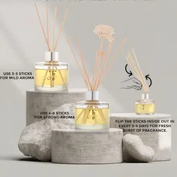 THE ACADOUR Set of 2 Reed Diffusers 2pcs Spicy Gingerbread 100ml each image 5