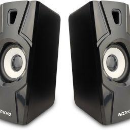 Gizmore TWIN 2010 10 W Laptop/Desktop Speaker-image-13