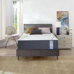 springtek Memory & Bonded Foam Orthopedic Mattress-picture-1