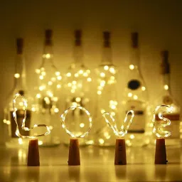 20 LEDs 1.98 m White Steady Bottle Rice Lights-1