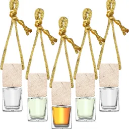 ™5 Pack Hanging Car Diffuser Bottle Empty Glass Perfume Bottle Diffuser-18