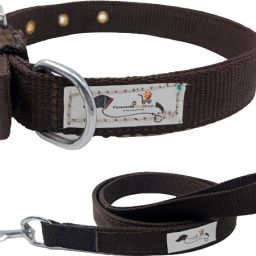 Dog Collar Belt of All Breeds Waterproof Medium Fits Neck Size 15" to 18" Dog & Cat Break Away Collar-image-15