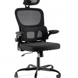 Matrix Chair Adjustable Headrest and Lumbar Support Home Office Study Mesh Office Adjustable Arm Chair-picture-42