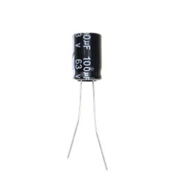 100 uF 63V Through Hole Electrolytic Capacitor-13