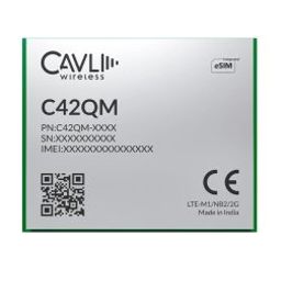 Cavli Wireless C42QM LTE Cat M1/ NB-IoT Module-43
