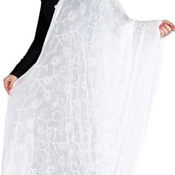 Chiffon Embroidered White Women Dupatta-image-14