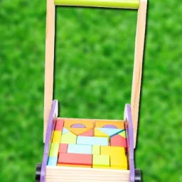 2-in-1 Walker-30