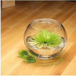 Beautiful round Clear transparent Glass vase for floers and plants Glass, Earthenware Vase-image-29
