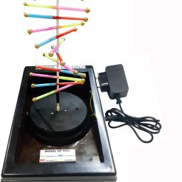 Model of DNA Low Cost Teaching Aid (LOCTAS) Biology Science Project.-image-2