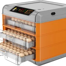 192-OranD1-4 Egg Incubator-image-44