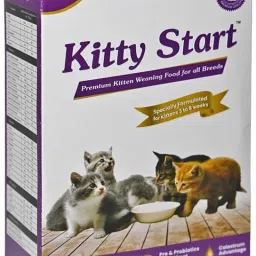 KITTY START Premium Kitten Weaning Food for all breeds 300GM 0.3 kg Dry New Born, Young Cat Food-image-65