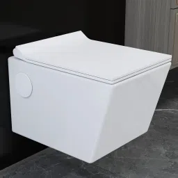 Ceramic Wall Hung Western Toilet/Water Closet/Commode & Toilet Seat-P Trap (APS-778) Western Commode-19